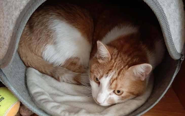 Zbiórka Walczymy z chorobą Baldurka - zdjęcie główne