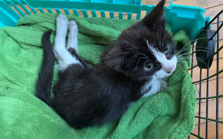 Zbiórka Mam pecha, urodziłem się.. - zdjęcie główne