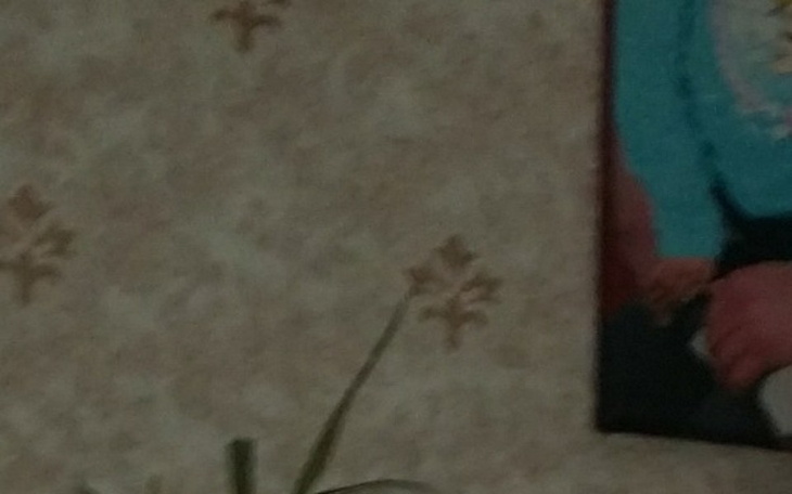 Zbiórka pomoc splaty dlugu - zdjęcie główne