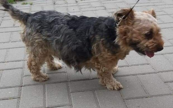 Zbiórka Sprzedali mnie za 20 zł... - zdjęcie główne