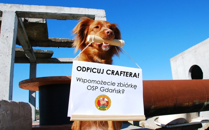 Zbiórka Odpicuj Craftera OSP Gdańsk - zdjęcie główne