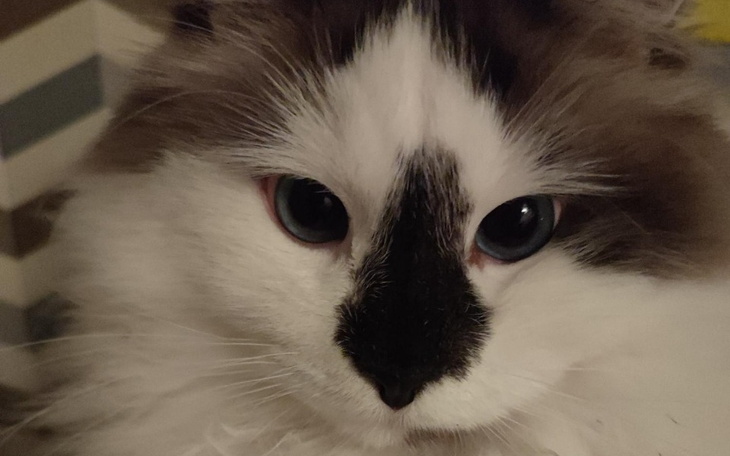 Zbiórka Arathorn musi zostać z nami - zdjęcie główne