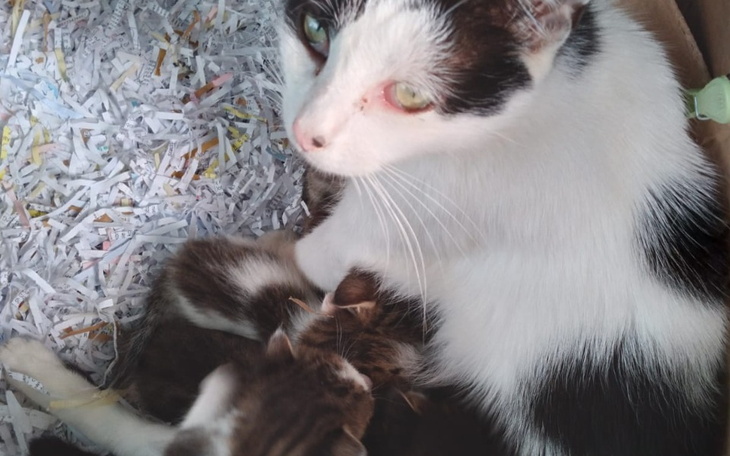 Zbiórka Nie mają nic. Nawet jedzenia. - zdjęcie główne