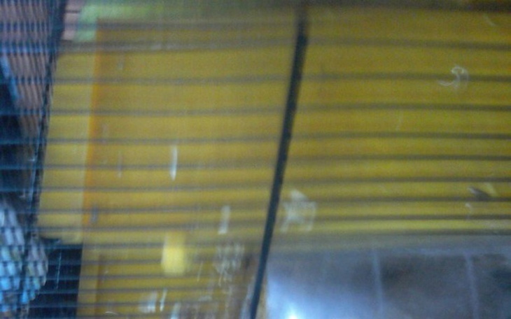 Zbiórka Pomoc chomikowi - zdjęcie główne