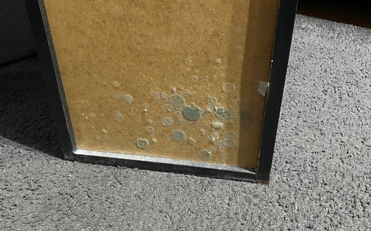 Zbiórka remont mieszkania zgrzybiale - zdjęcie główne