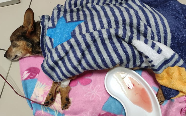 Zbiórka Abyśmy mogli dalej pomagać - zdjęcie główne