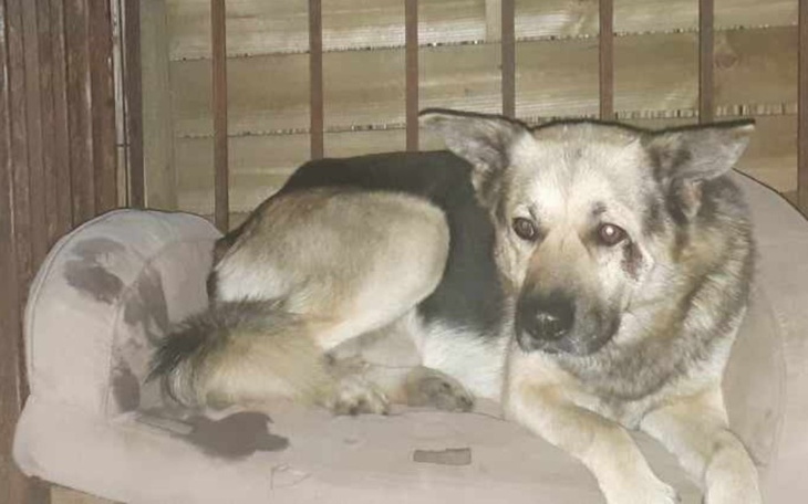 Zbiórka Doczekał się pomocy - zdjęcie główne