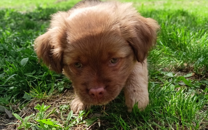 Zbiórka Johny pragnie szczęścia - zdjęcie główne