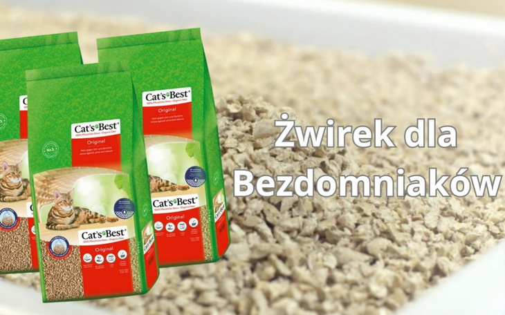 Zbiórka Żwirek dla kotów na szpitaliku - zdjęcie główne