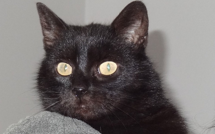 Zbiórka Uratowana Mgma prosi o pomoc - zdjęcie główne