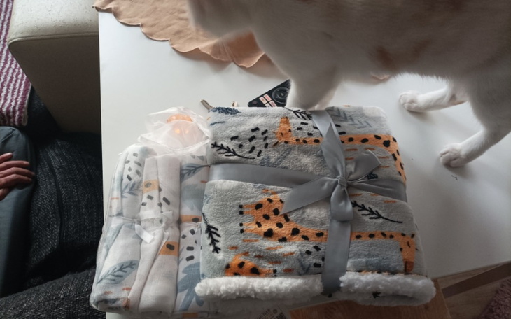 Zbiórka Spłatę zadłużenia i wynajem mies - zdjęcie główne