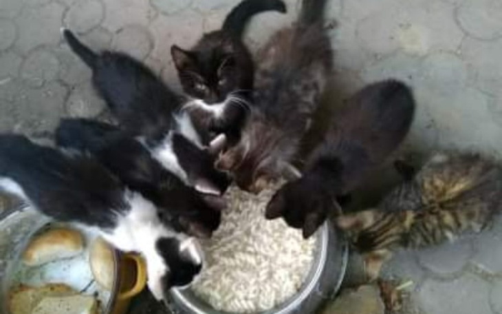 Zbiórka Nasi mali przyjaciele - zdjęcie główne