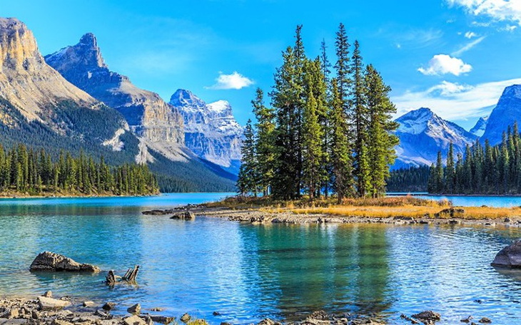 Zbiórka Wyjazd do Kanady - zdjęcie główne