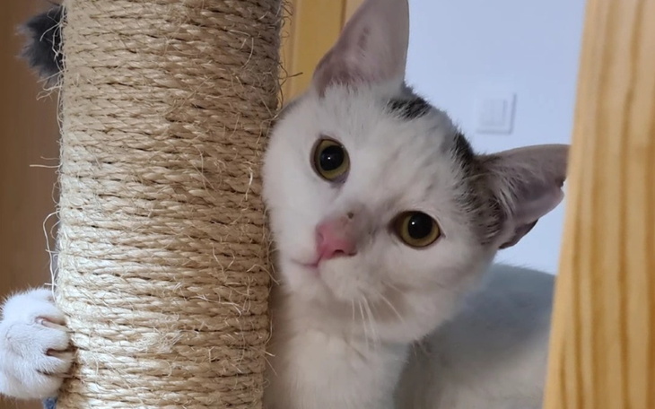 Zbiórka Operacja Traktorka - zdjęcie główne