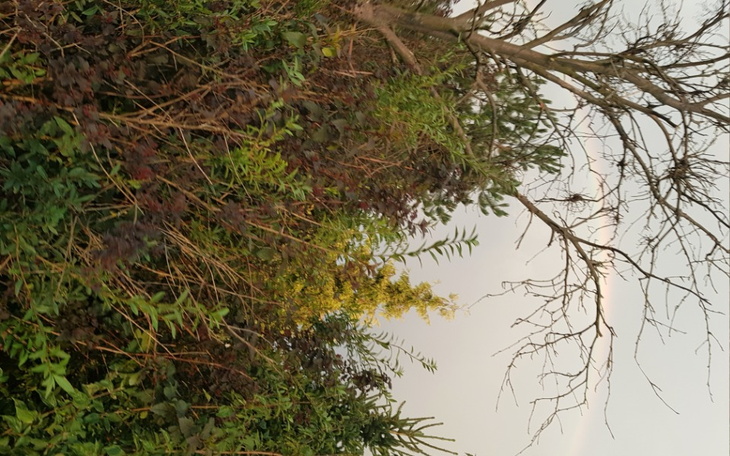 Zbiórka Na Farming 22 bo jutro kupuje - zdjęcie główne