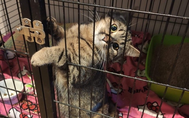 Zbiórka Klatka znaczy życie - zdjęcie główne