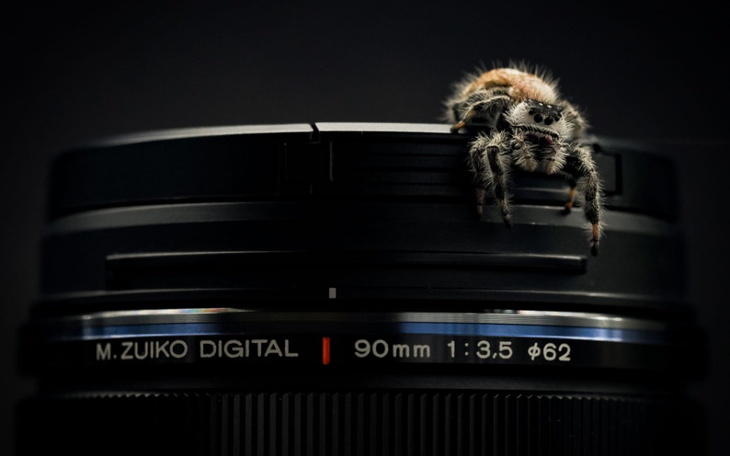 Zbiórka Na uśmiech kumpla - zdjęcie główne