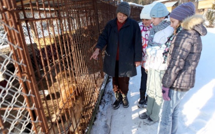 Zbiórka Pomoc dla Psiaków w Schronisku - zdjęcie główne