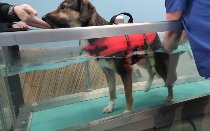 Zbiórka INKA na nowo uczy się chodzić - zdjęcie główne