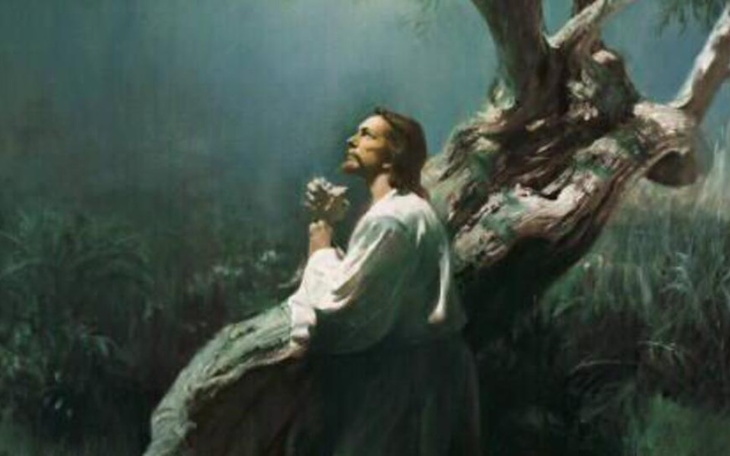 Zbiórka Film chrześcijański - zdjęcie główne