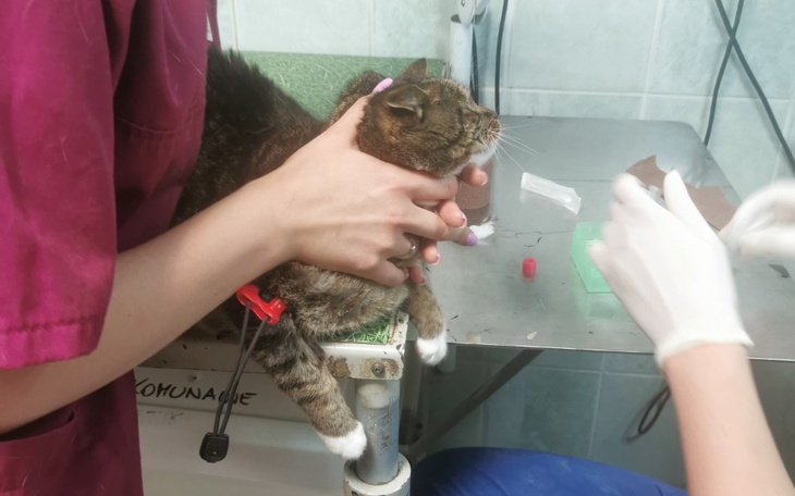 Zbiórka Na leczenie Franusia - zdjęcie główne