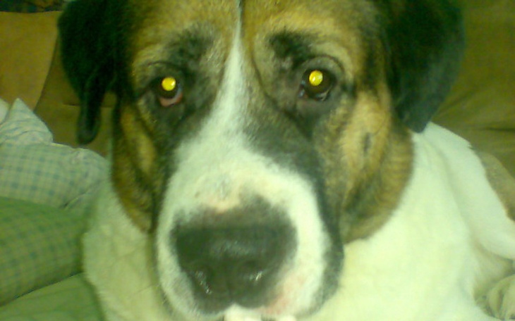 Zbiórka Pomóżcie zdążyć przed rakiem - zdjęcie główne