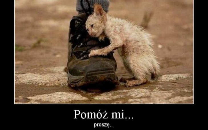 Zbiórka Na Dom dla potrzebującej rodziny - zdjęcie główne