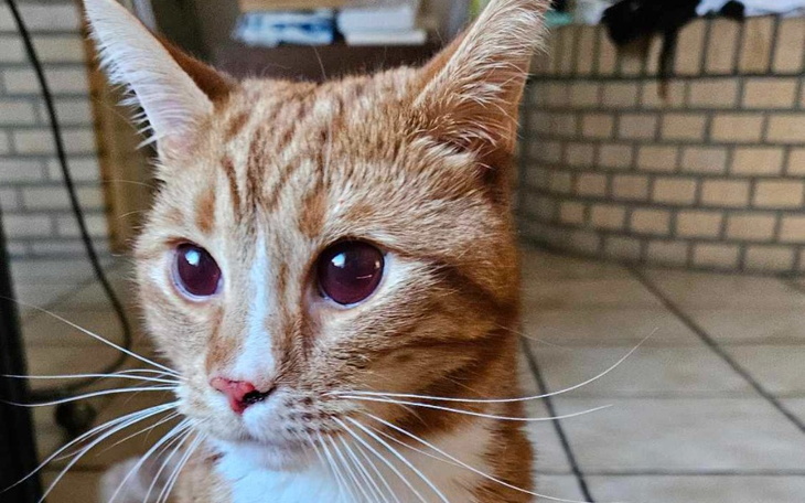 Zbiórka Speedku,nie wygralismy tej walki - zdjęcie główne