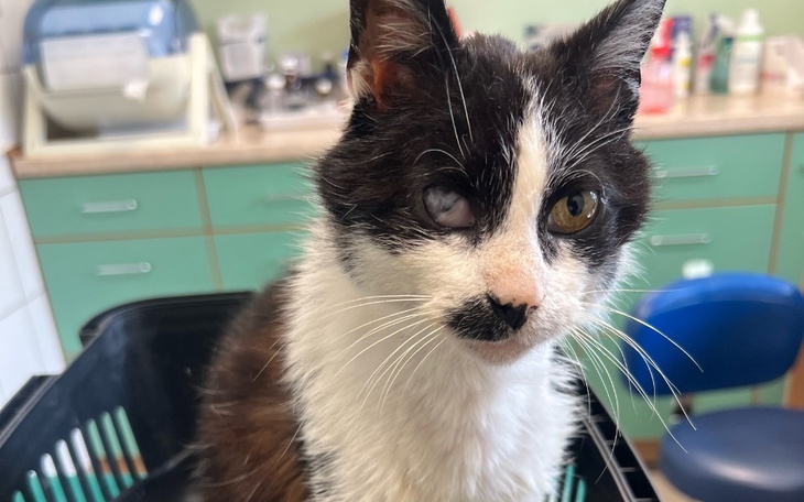 Zbiórka Kolejny bezimienny ... - zdjęcie główne