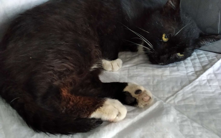 Zbiórka Pomóż mi walczyc o życie - zdjęcie główne