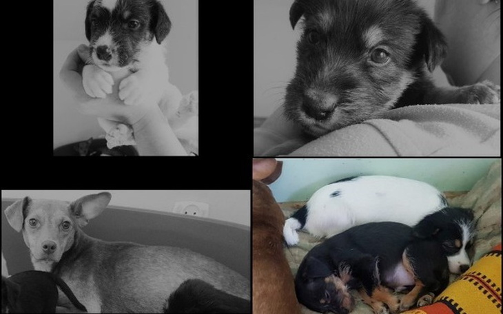 Zbiórka Wygrać ze śmiercią... - zdjęcie główne