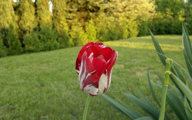 Zbiórka Pomysł za szczerość - zdjęcie główne