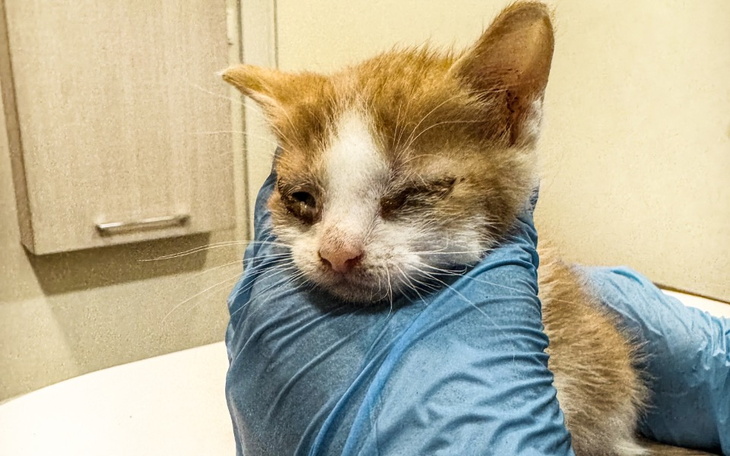 Zbiórka Pomóż nam URATOWAĆ ŻYCIA - zdjęcie główne