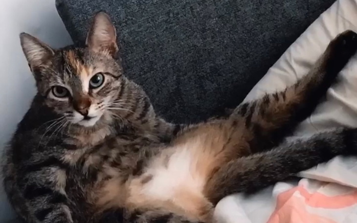 Zbiórka Leczenie Manii - zdjęcie główne