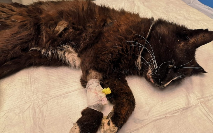 Zbiórka Śmierć zjadała mnie żywcem - zdjęcie główne