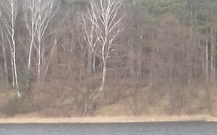 Zbiórka Zbieram na splate kredytu za dom - zdjęcie główne