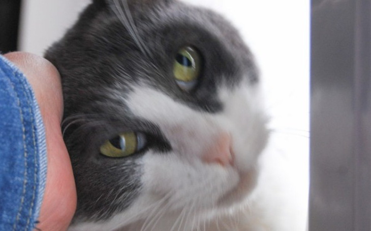 Zbiórka Czesio... całe życie bezdomności - zdjęcie główne