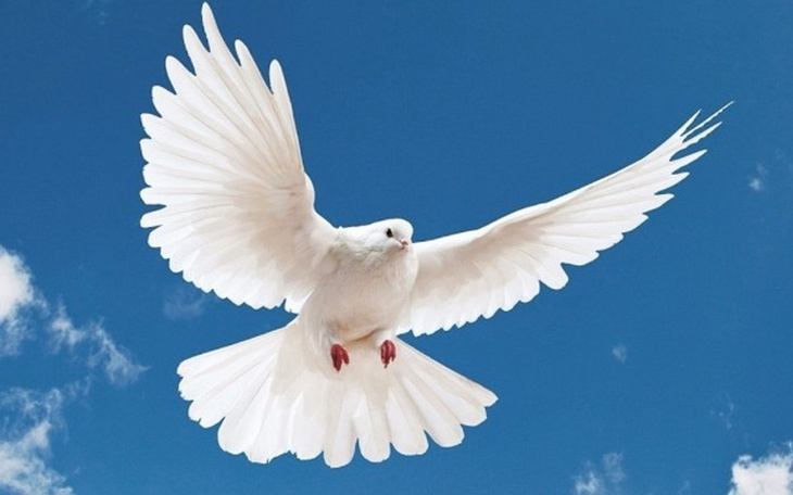 Zbiórka Dla dzieci. - zdjęcie główne