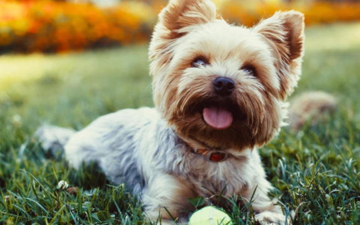 Zbiórka Pomoc w zarobieniu - zdjęcie główne