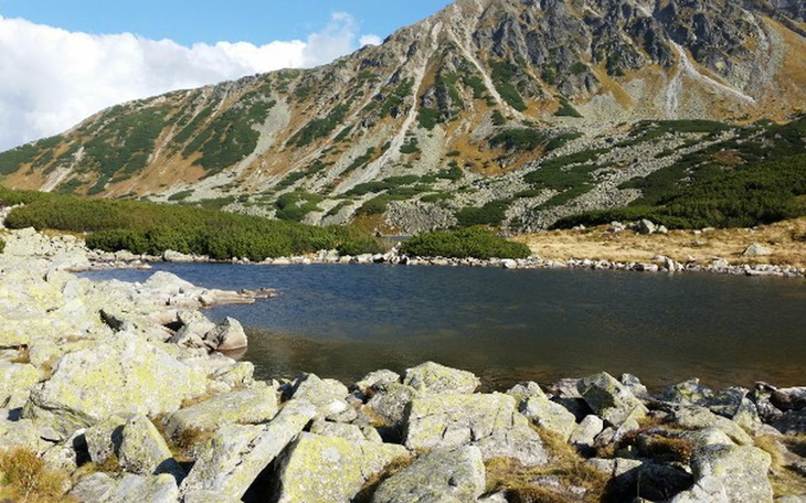 Zbiórka Przegrane Życie Z bankami - zdjęcie główne