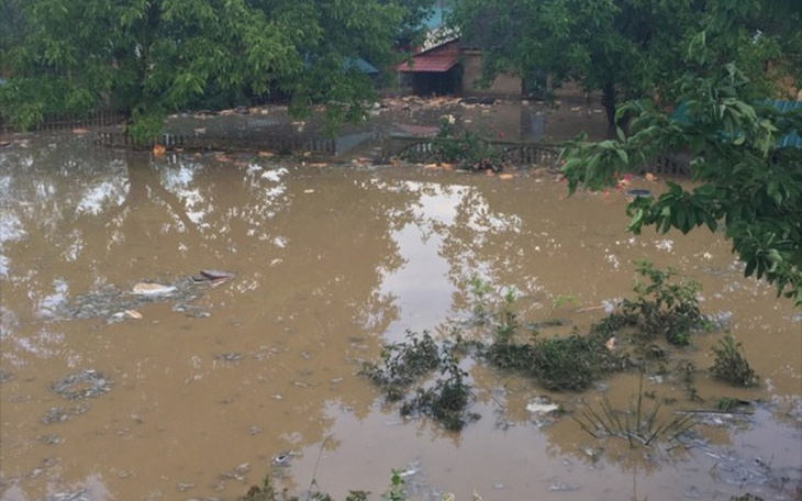 Zbiórka Zbiórka na odnowę domu babci - zdjęcie główne