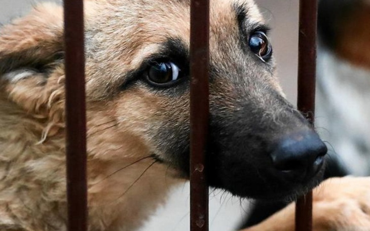 Zbiórka Sronisko dla zwieźont - zdjęcie główne