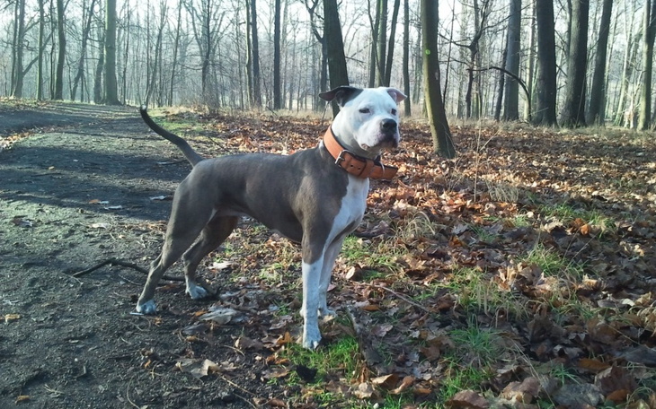 Zbiórka Na operację dla Aishy - zdjęcie główne