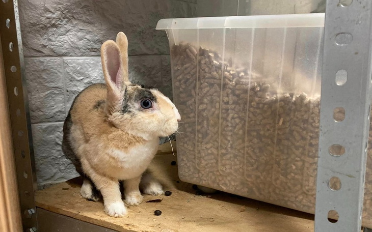 Zbiórka Na rachunki i ogrzewanie Uszatyc - zdjęcie główne