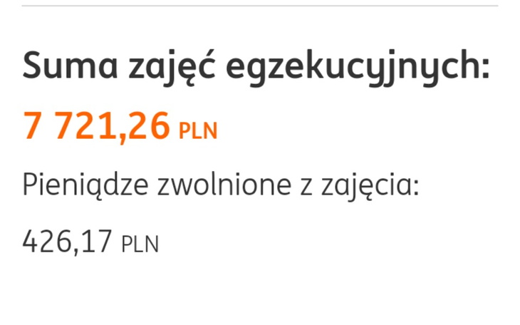 Zbiórka Spłata długu po mężu - zdjęcie główne