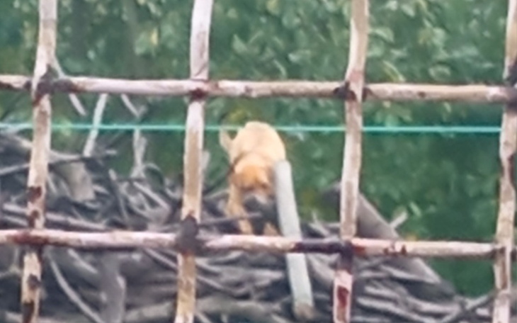 Zbiórka Bezdomnosc moja nie zna granic - zdjęcie główne