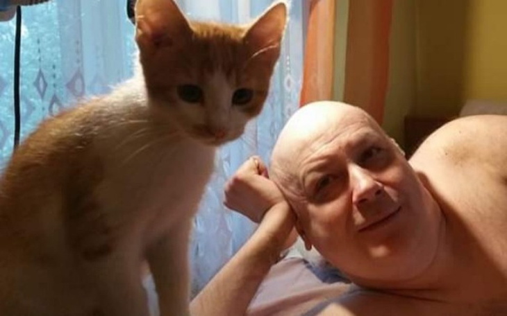 Zbiórka Materac przeciwodleżynowy. - zdjęcie główne