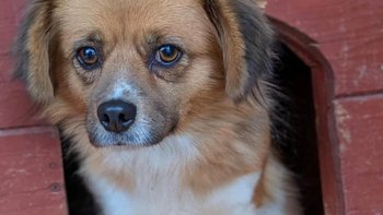 Zbiórka Na zdrowie - badania III26 - miniaturka zdjęcia