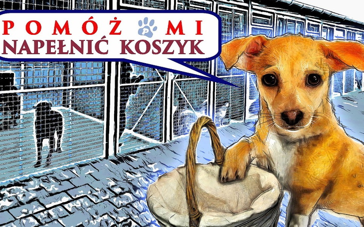 Zbiórka Wielkanocny Piątak dla Futrzaka - zdjęcie główne