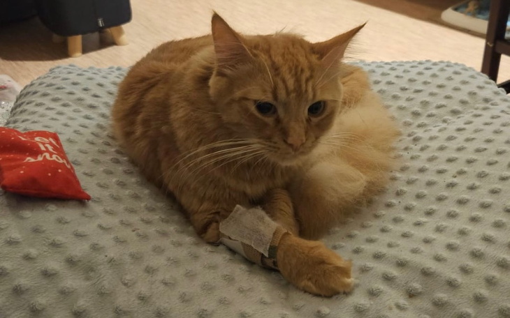 Zbiórka Bez leczenia umrę - zdjęcie główne